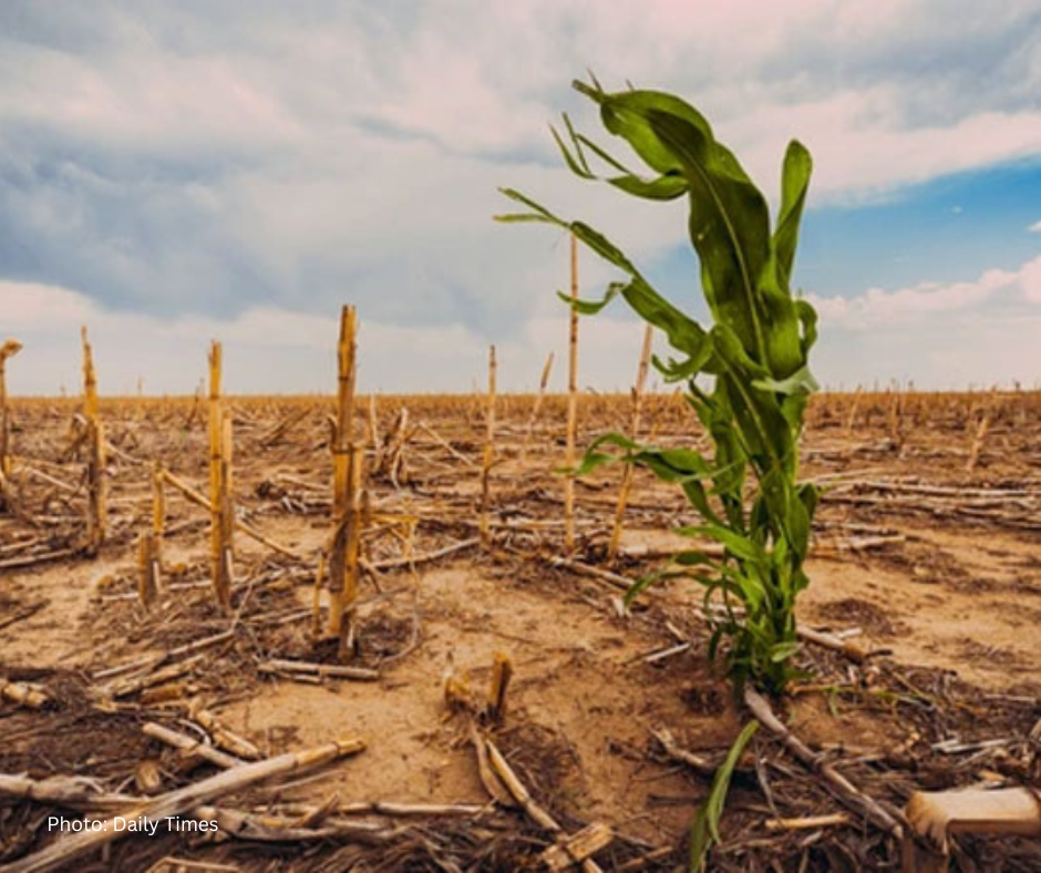Climate Change in Kharian, Punjab Pakistan
