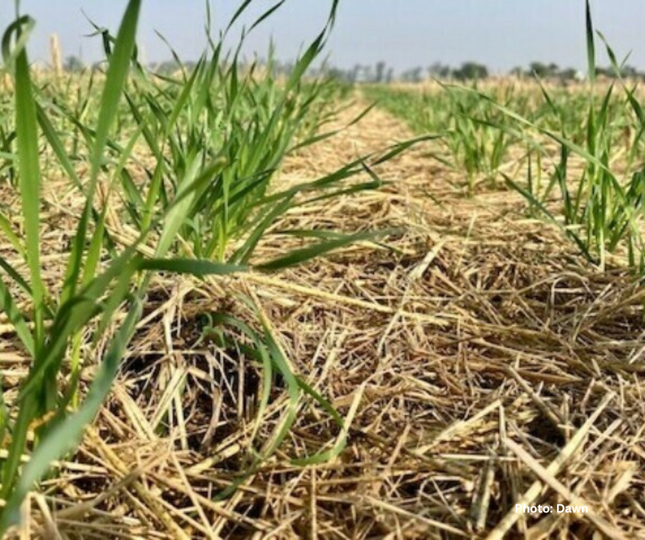 Climate Change in Shehr Sultan, Muzaffargarh, Pakistan