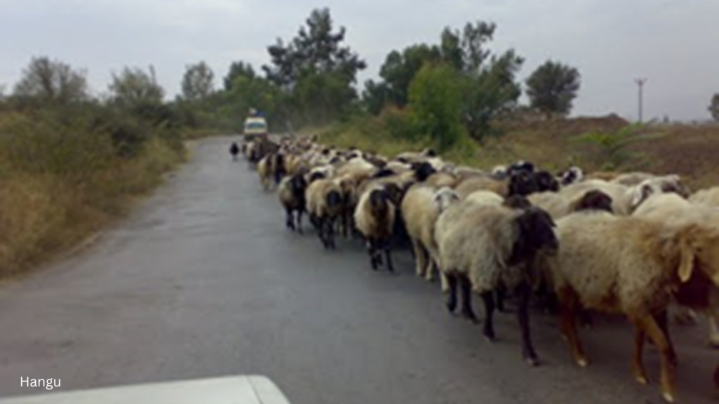 Climate Change Challenges in Hangu Pakistan